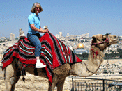 Have you mounted a camel on the Mount of Olives?