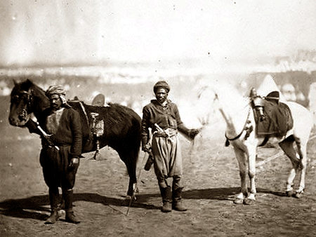 Nubian horses photographed around 1855