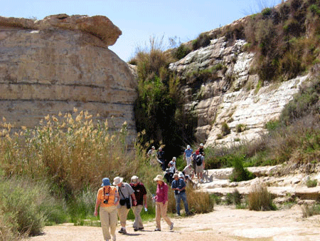 Oasis in the Negev's wilderness of Zin
