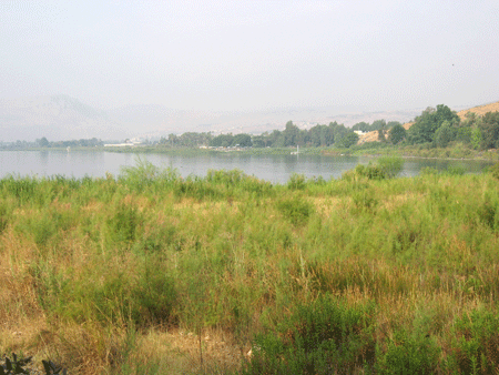 Tabgha area by the Sea of Galilee