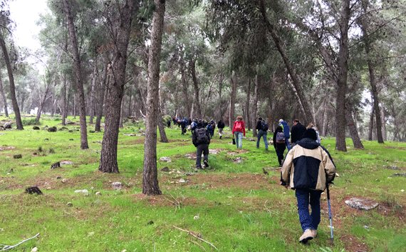 A moderate fifteen minute hike takes you to the first excavated area at Khirbet a-Ra'i