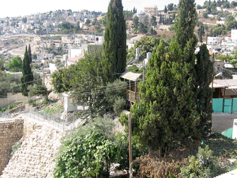 Location of David's Jerusalem palace