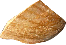 "Goliath" ostracon found at Biblical Gath