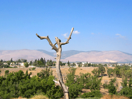 Mount Gilboa is southwest of Beth Shean