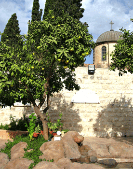 View from the courtyard of the Cana Wedding Church
