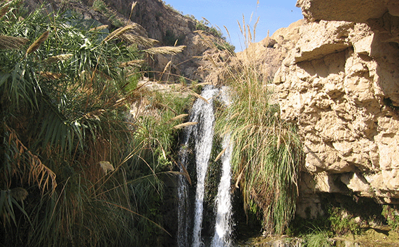 Oasis of En Gedi where David found refuge with his band of outlaws