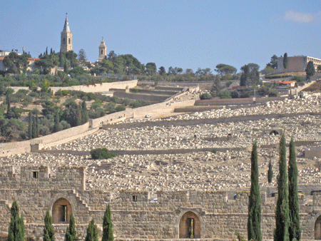 View of the Mount of Olives