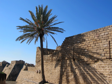 Crusader walls enclose the port area from Paul's day