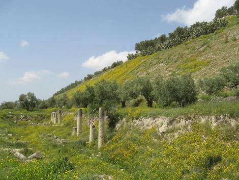 Ancient city of Samaria as it looks in 2014