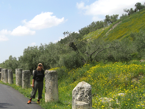 Gila on the Roman street of Sebastia in April 2014