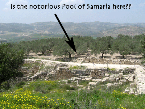 Is the Pool of Samaria to be located in the olive grove