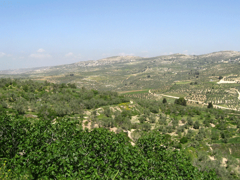 Naaman could have met Elisha's servant Gehazi in this valley below Samaria