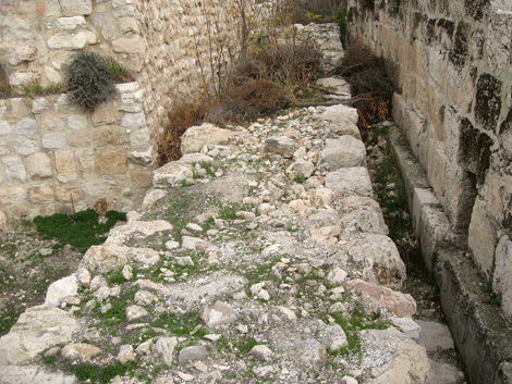 Solomonic wall perhaps mentioned in First Kings 3